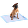 Antibacterial Pet Training Pads