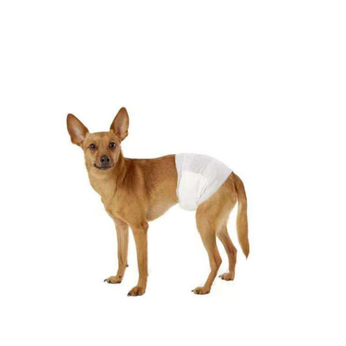 Breathable Female Dog Diapers for Heat and Incontinence