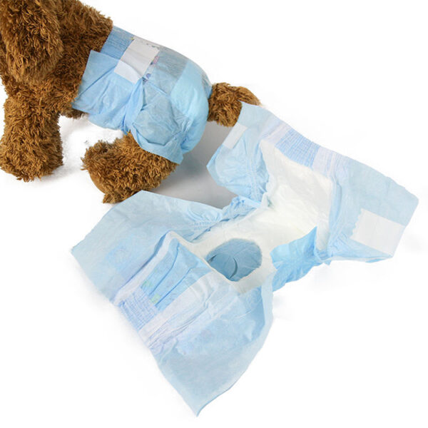 Disposable Female Dog Diapers for Heat & Incontinence Care