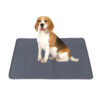 Extra Thick Pet Training Pads for Daily Indoor Care