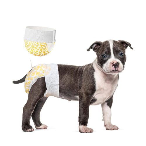 Leak-Proof Female Dog Diapers for Everyday Protection