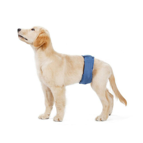 Leak-Proof Male Dog Diapers for Daily Protection
