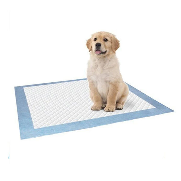 Quick-Dry Pet Pee Pads for Dogs