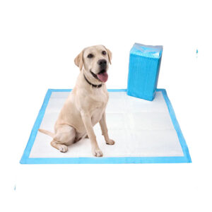 Quick-Dry Pet Pee Pads for Dogs
