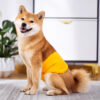 Super Absorbent Male Dog Diapers