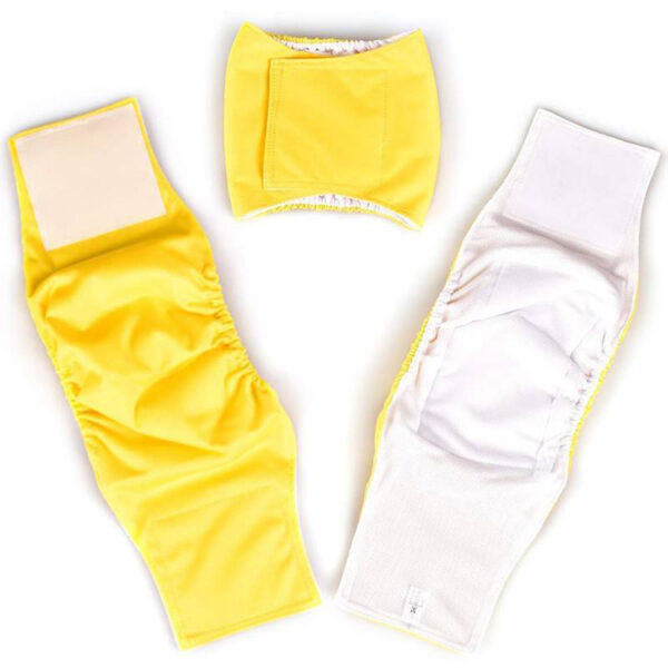 Super Absorbent Male Dog Diapers