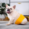 Super Absorbent Male Dog Diapers