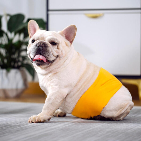 Super Absorbent Male Dog Diapers
