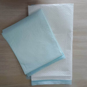 Adult Incontinence Products