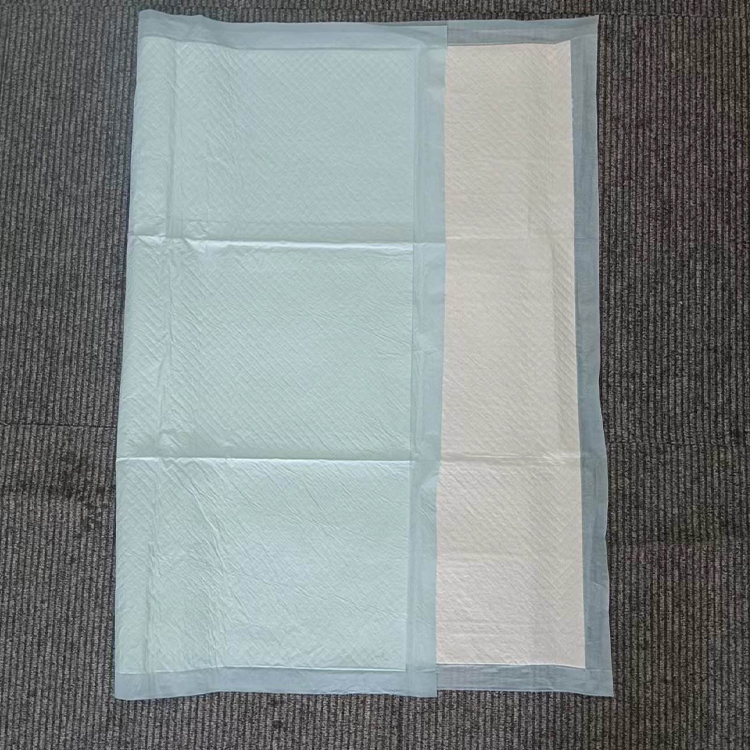 成人用失禁ケア用品
