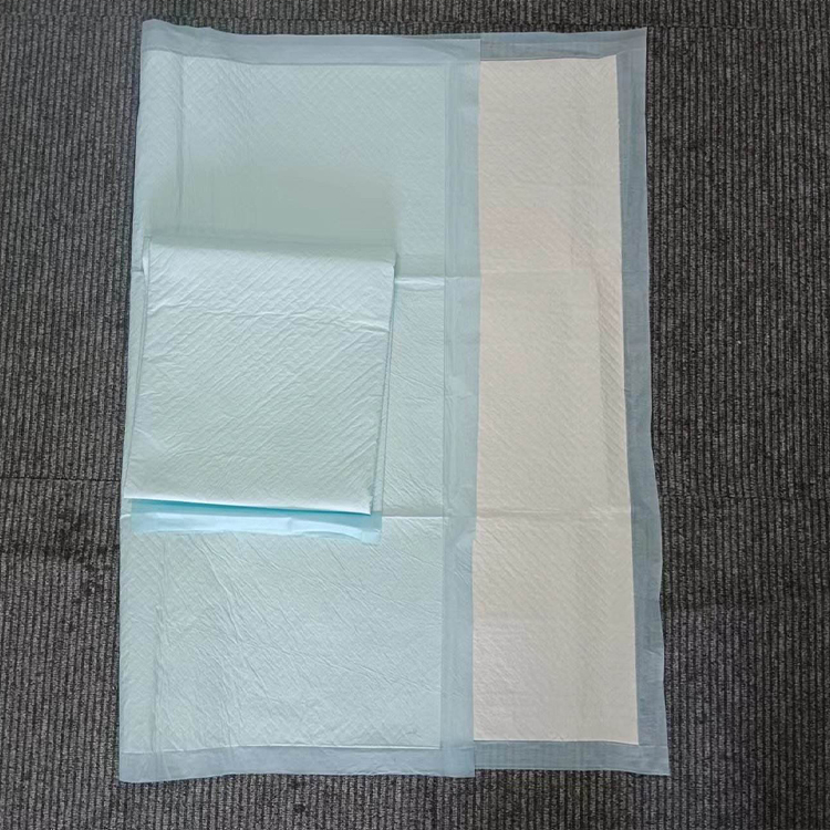 成人用失禁ケア用品