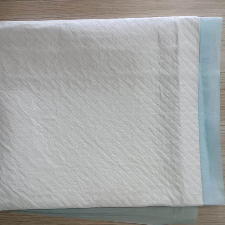 成人用失禁ケア用品