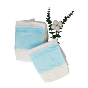 Adult Incontinence